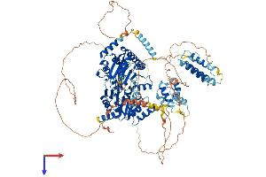AlphaFold protein structure predicition of Mouse Recombinant Recql5 Protein, UniprotID Q8VID5