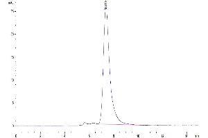 The purity of Human LILRB1 is greater than 95 % as determined by SEC-HPLC.