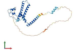 AlphaFold protein structure predicition of Mouse Recombinant Med8 Protein, UniprotID Q9D7W5