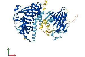 AlphaFold protein structure predicition of Human Recombinant ACOT12 Protein, UniprotID Q8WYK0