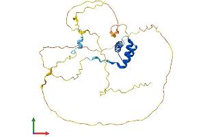 AlphaFold protein structure predicition of Human Recombinant NKX1-2 Protein, UniprotID Q9UD57