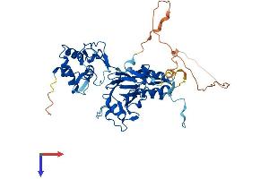 AlphaFold protein structure predicition of Mouse Recombinant Smad1 Protein, UniprotID P70340