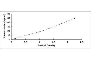Typical standard curve (CH25H Kit ELISA)