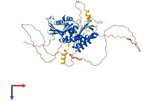 AlphaFold protein structure predicition of Human Recombinant PIP5K1B Protein, UniprotID O14986