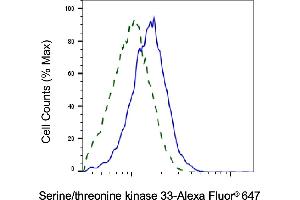 Validation of Serine/threonine kinase 33 knockdown using flow cytometry. (Recombinant STK33 anticorps)