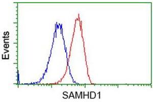 Flow cytometric Analysis of Hela cells, using anti-SAMHD1 antibody (ABIN2453624), (Red), compared to a nonspecific negative control antibody (TA50011), (Blue). (SAMHD1 anticorps)