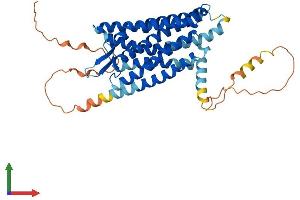 AlphaFold protein structure predicition of Mouse Recombinant Sstr1 Protein, UniprotID P30873