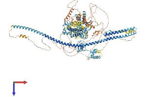 AlphaFold protein structure predicition of Human Recombinant DZIP3 Protein, UniprotID Q86Y13
