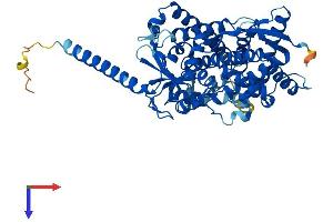 AlphaFold protein structure predicition of Human Recombinant CYP4F11 Protein, UniprotID Q9HBI6