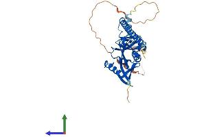 AlphaFold protein structure predicition of Mouse Recombinant Rassf2 Protein, UniprotID Q8BMS9