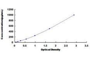 Typical standard curve (IL-18 Kit ELISA)