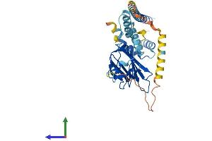 AlphaFold protein structure predicition of Mouse Recombinant Nudc Protein, UniprotID O35685 (NUDC Protein (AA 1-332) (His tag))