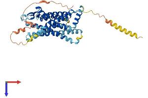 AlphaFold protein structure predicition of Mouse Recombinant Bdkrb2 Protein, UniprotID P32299