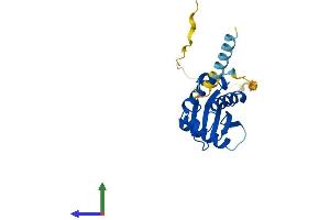 AlphaFold protein structure predicition of Human Recombinant COPZ2 Protein, UniprotID Q9P299
