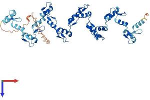 AlphaFold protein structure predicition of Human Recombinant ZNF345 Protein, UniprotID Q14585