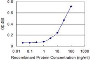 Detection limit for recombinant GST tagged LRRC2 is 1 ng/ml as a capture antibody.