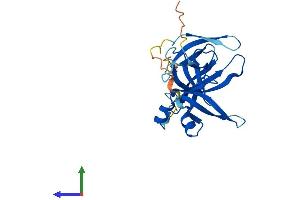 AlphaFold protein structure predicition of Mouse Recombinant Ssty1 Protein, UniprotID P13675