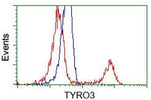 HEK293T cells transfected with either pCMV6-ENTRY TYRO3 (RC208260) (Red) or empty vector control plasmid (Blue) were immunostained with anti-TYRO3 mouse monoclonal (ABIN2452233, Dilution 1:1,000), and then analyzed by flow cytometry. (TYRO3 anticorps)