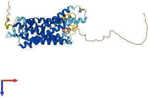 AlphaFold protein structure predicition of Mouse Recombinant Opn5 Protein, UniprotID Q6VZZ7