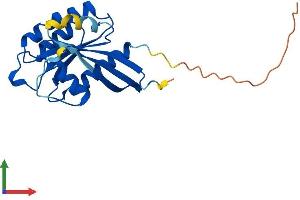 AlphaFold protein structure predicition of Mouse Recombinant Rab10 Protein, UniprotID P61027