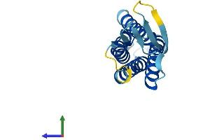 AlphaFold protein structure predicition of Human Recombinant PMP22 Protein, UniprotID Q01453
