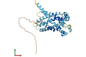 AlphaFold protein structure predicition of Mouse Recombinant Slc25a37 Protein, UniprotID Q920G8