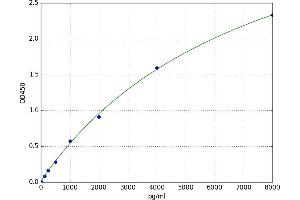 Chemokine (C-X-C Motif) Receptor 7 (CXCR7) ELISA Kit
