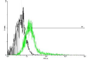FACS analysis of negative control 293 cells (Black) and IFNGR1 expressing 293 cells (Green) using IFNGR1 purified MaxPab mouse polyclonal antibody. (IFNGR1 anticorps  (AA 1-489))