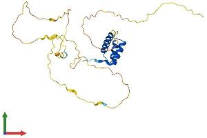 AlphaFold protein structure predicition of Human Recombinant GSX1 Protein, UniprotID Q9H4S2