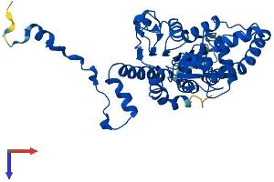 AlphaFold protein structure predicition of Mouse Recombinant Dhps Protein, UniprotID Q3TXU5