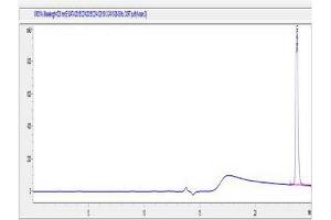 Image no. 1 for Cortistatin (CORT) peptide (Ovalbumin) (ABIN5666144) (Cortistatin (CORT) peptide (Ovalbumin))