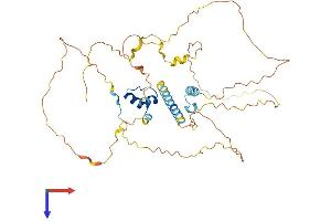 AlphaFold protein structure predicition of Human Recombinant MAMSTR Protein, UniprotID Q6ZN01