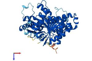 AlphaFold protein structure predicition of Human Recombinant TUBB2B Protein, UniprotID Q9BVA1