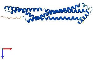 AlphaFold protein structure predicition of Mouse Recombinant Bin3 Protein, UniprotID Q9JI08