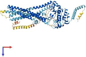 AlphaFold protein structure predicition of Human Recombinant ABCD2 Protein, UniprotID Q9UBJ2