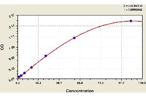 ELISA image for Complement Factor B (CFB) ELISA Kit (ABIN1114331) (Complement Factor B Kit ELISA)