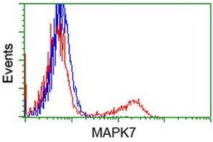 HEK293T cells transfected with either RC203506 overexpress plasmid (Red) or empty vector control plasmid (Blue) were immunostained by anti-MAPK7 antibody (ABIN2454054), and then analyzed by flow cytometry. (MAPK7 anticorps)