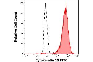 Separation of MCF-7 cells stained using anti-Cytokeratin 19 (A53-B/A2) FITC antibody (concentration in sample 3 μg/mL, red-filled) from MCF-7 cells stained using mouse IgG2b isotype control (MPC-11) FITC antibody (concentration in sample 3 μg/mL, same as anti-Cytokeratin 19 FITC antibody concentration, black-dashed) in flow cytometry analysis (surface staining).