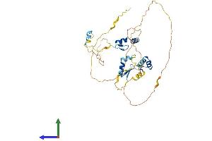 AlphaFold protein structure predicition of Human Recombinant ZNF385A Protein, UniprotID Q96PM9