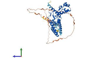 AlphaFold protein structure predicition of Mouse Recombinant Smarcd1 Protein, UniprotID Q61466