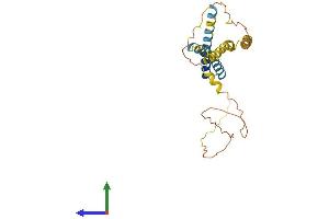 AlphaFold protein structure predicition of Human Recombinant TMEM72 Protein, UniprotID A0PK05 (TMEM72 Protein (AA 1-275) (His tag))