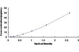 Typical standard curve (Riboflavin Kinase Kit ELISA)