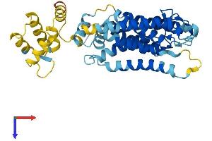 AlphaFold protein structure predicition of Mouse Recombinant Rhbdl1 Protein, UniprotID Q8VC82