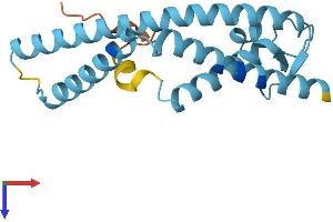 AlphaFold protein structure predicition of Mouse Recombinant Tmco1 Protein, UniprotID Q921L3