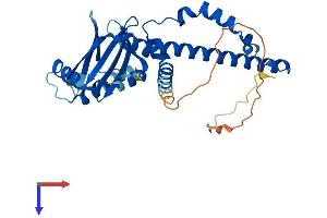 AlphaFold protein structure predicition of Mouse Recombinant Nhej1 Protein, UniprotID Q3KNJ2