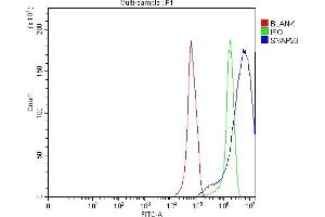 Flow Cytometry analysis of RT4 cells using anti-SNAP23 antibody (ABIN7599089). (SNAP23 anticorps  (AA 1-211))