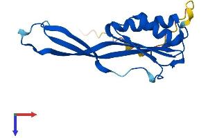 AlphaFold protein structure predicition of Mouse Recombinant Rpp25l Protein, UniprotID Q99JH1