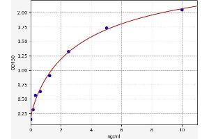 Typical standard curve (STK31 Kit ELISA)