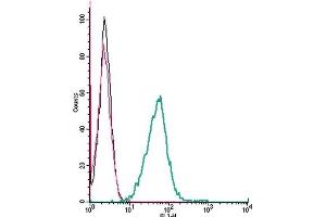 Cell surface detection of EphA1 by indirect flow cytometry in live intact mouse J774 macrophage cells: (black line) Cells.