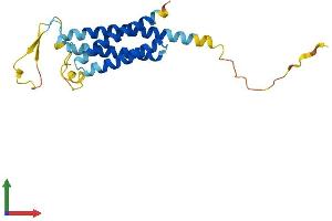 AlphaFold protein structure predicition of Mouse Recombinant Nkain2 Protein, UniprotID Q4PNJ2